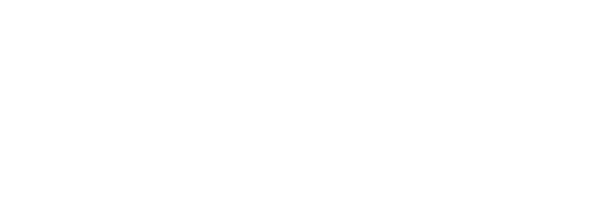 Blitz Logo