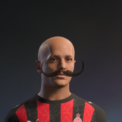Facial Hair ID 241
