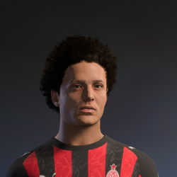 Hair ID 96