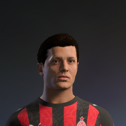 Hair ID 106