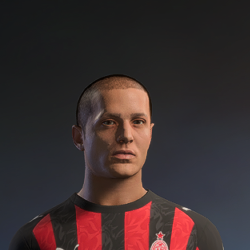 Hair ID 206