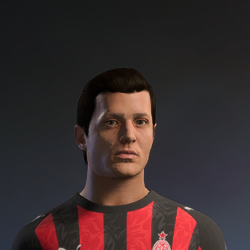 Hair ID 212