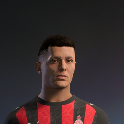 Hair ID 241