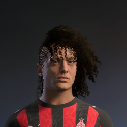 Hair ID 810