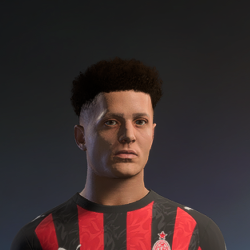 Hair ID 1066