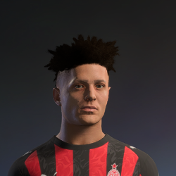 Hair ID 1081