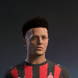 Hair ID 1086