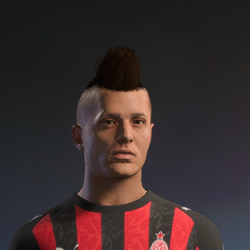 Hair ID 1317
